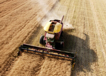 How Many Farms in the US Are Family-ran?